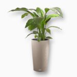 Кашпо с автополивом Lechuza CILINDRO Color