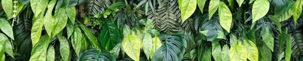 Вариегатные растения