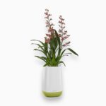 Кашпо Ваза Lechuza YULA