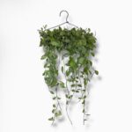 Купить Дисхидия Вайт Даймонд подвесная